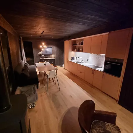 Modern In, Out In Apartment Geilo